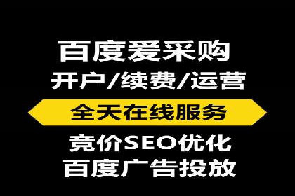 百度推广案例：精准广告投放策略解析